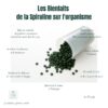 SPIRULINE EN COMPRIMES – Image 3