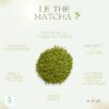 THE MATCHA – Image 2