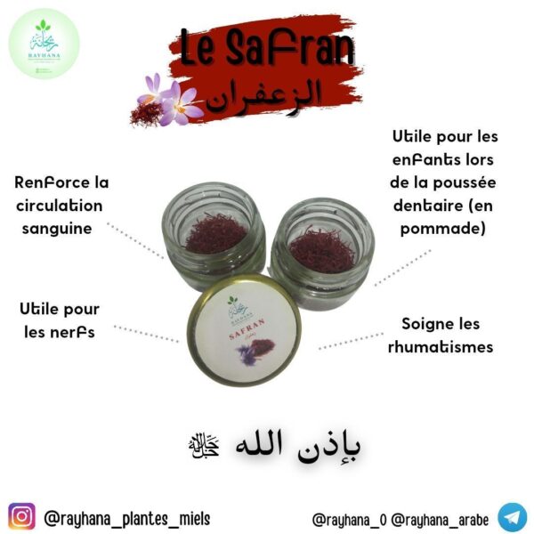 Le Safran – Image 5