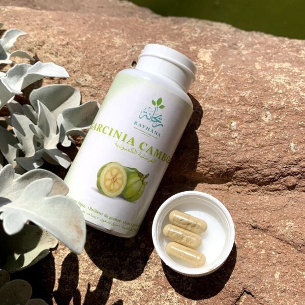 Le Garcinia Cambogia – Image 2