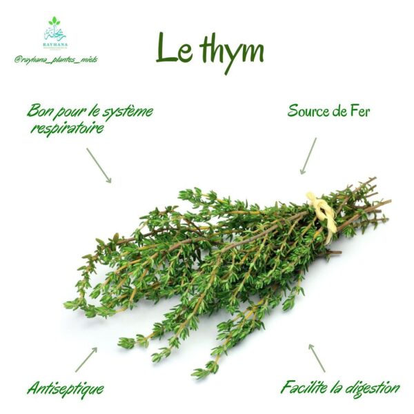 Le Thym – Image 6