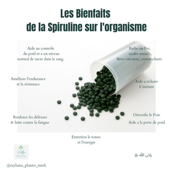 La Spiruline – Image 2