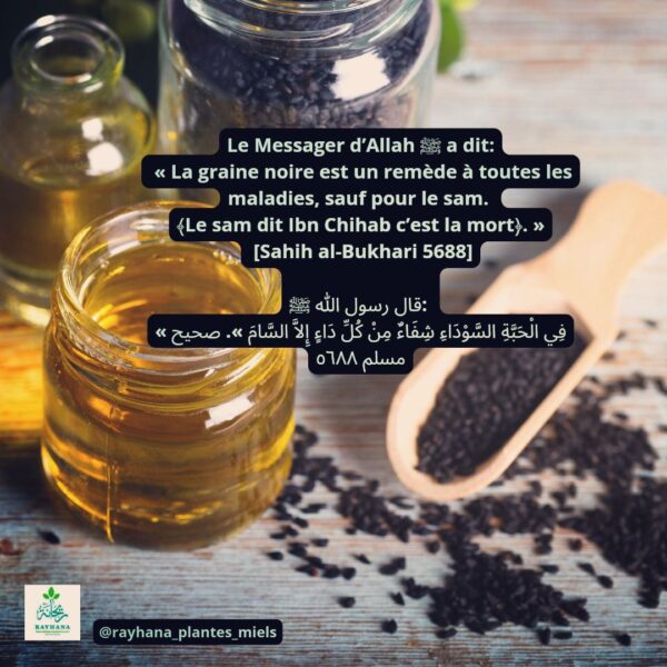 Huile de Nigelle – Image 2