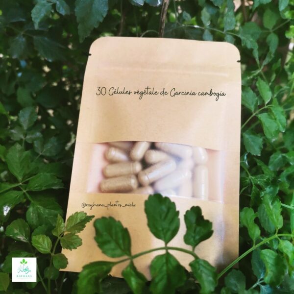 Le Garcinia Cambogia – Image 3
