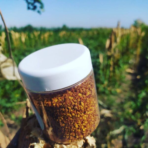Le Pollen d'abeille